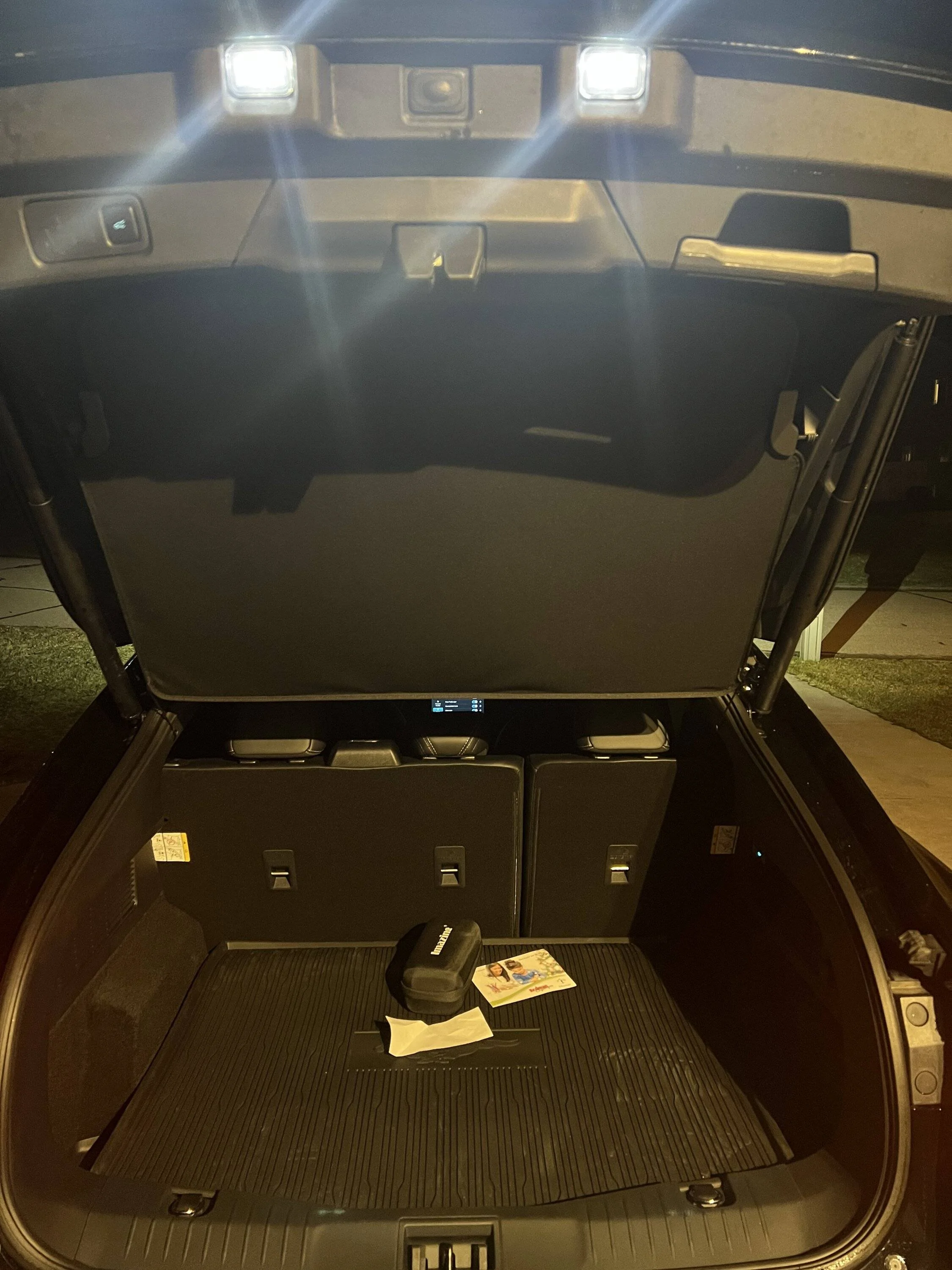 Ford Mustang Mach-E Rear cargo area lighting setting? 248D2260-902A-474B-A551-20FE80C72B62