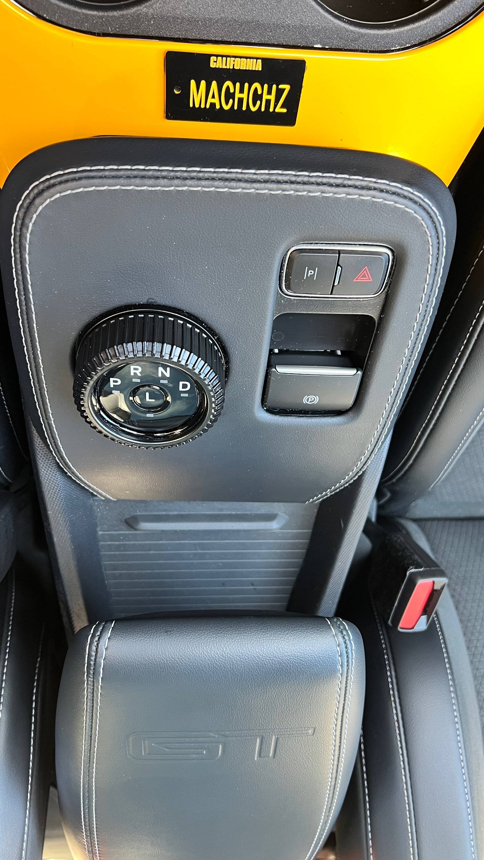 Ford Mustang Mach-E [video]  I HATE MY PIANO BLACK INTERIOR TRIM IMG_2871.JPG