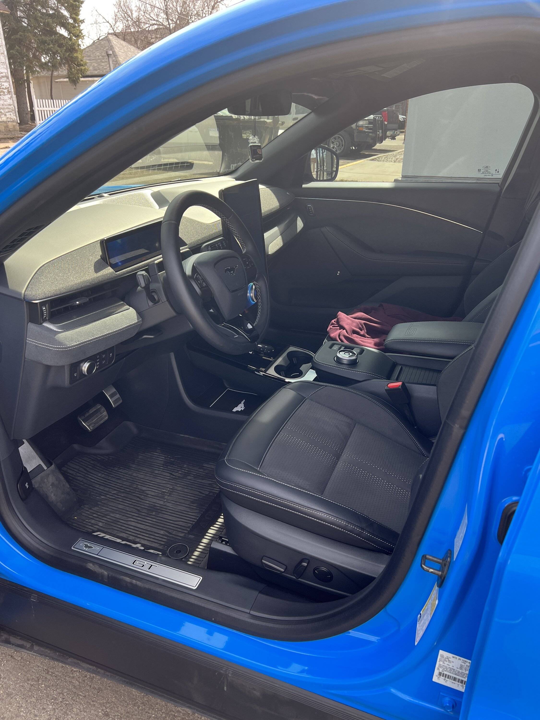 Ford Mustang Mach-E Longevity of ActiveX/Miko seats? 7A35911A-C41D-4A61-A146-8C016D6B5B38