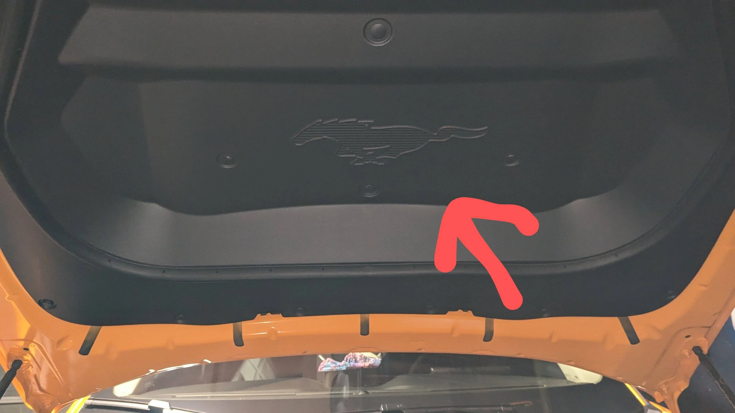 Ford Mustang Mach-E Custom frunk hood liner PXL_20230107_030825385~2