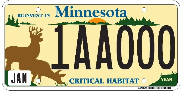 Ford Mustang Mach-E Custom license plate ideas 1606373526946