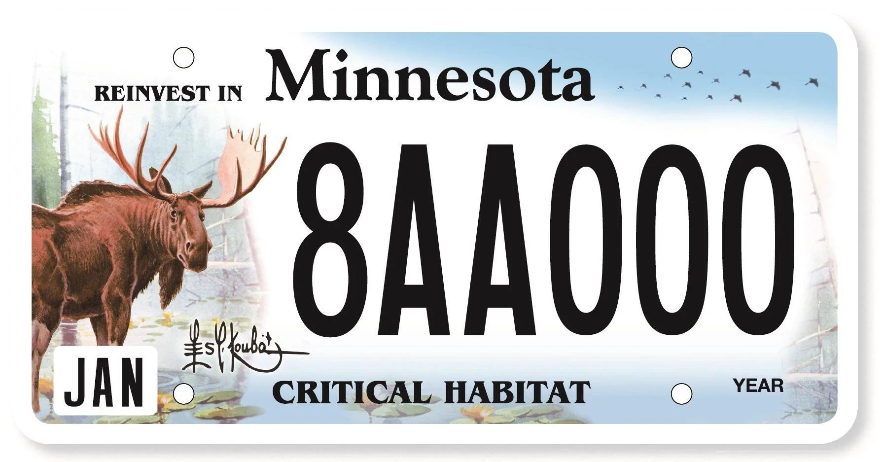 Ford Mustang Mach-E Custom license plate ideas 1606373943556