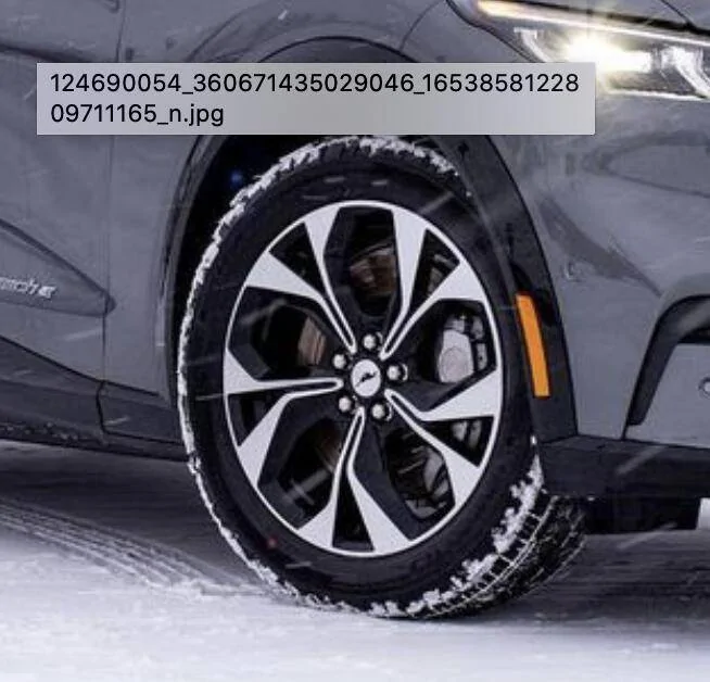Ford Mustang Mach-E CARBONIZED GRAY Mach-E Club Screen Shot 2020-12-02 at 12.27.10 PM