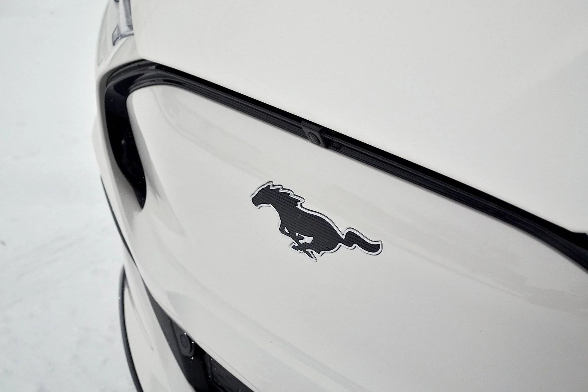 Ford Mustang Mach-E Snow Photos Eopi00YXcAId7R9