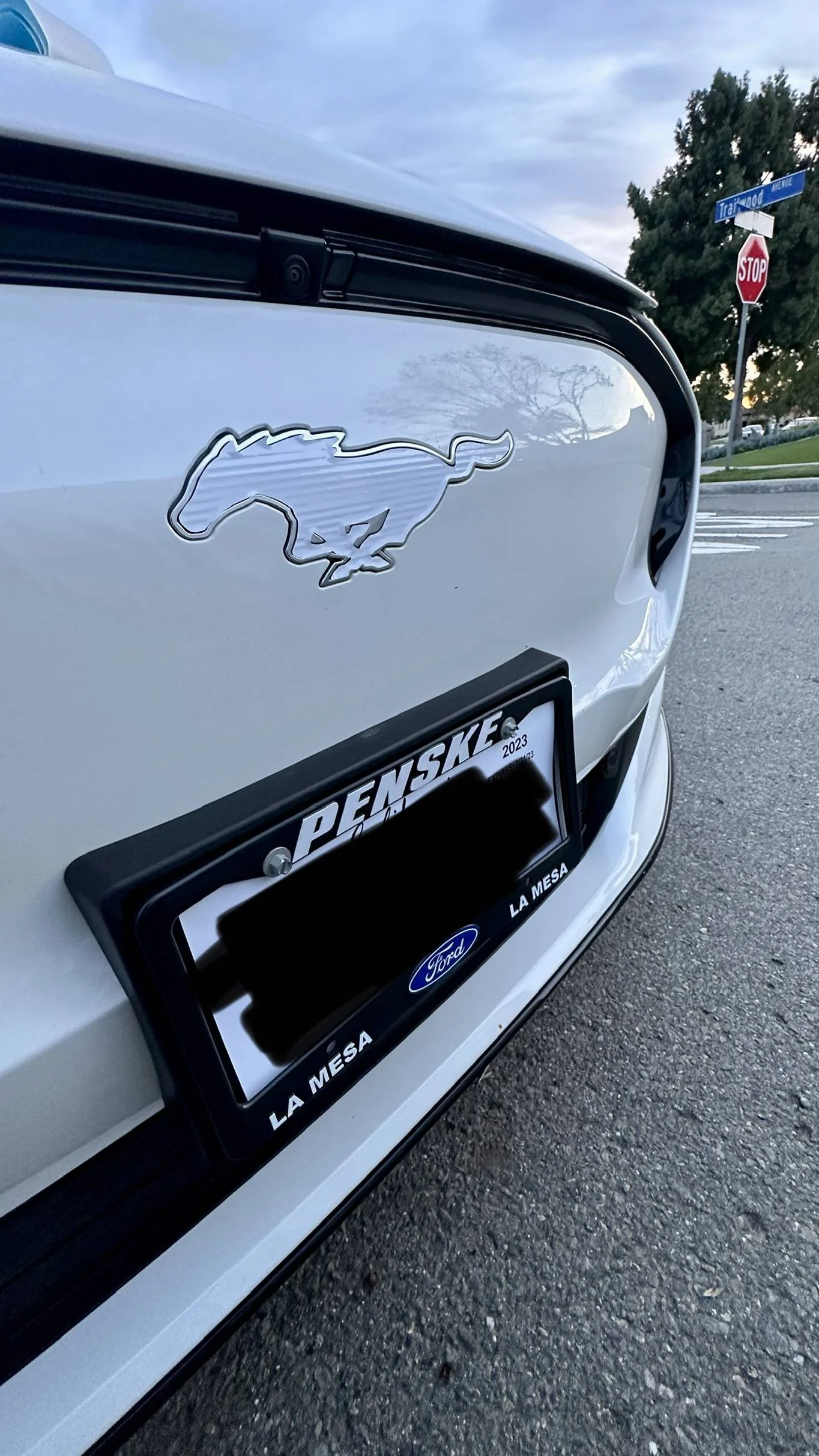 Ford Mustang Mach-E Trade in 2023 Mach E Premium ER AWD for a 2022? 4D44DDE9-5651-40AC-A50E-E58723B46EC1