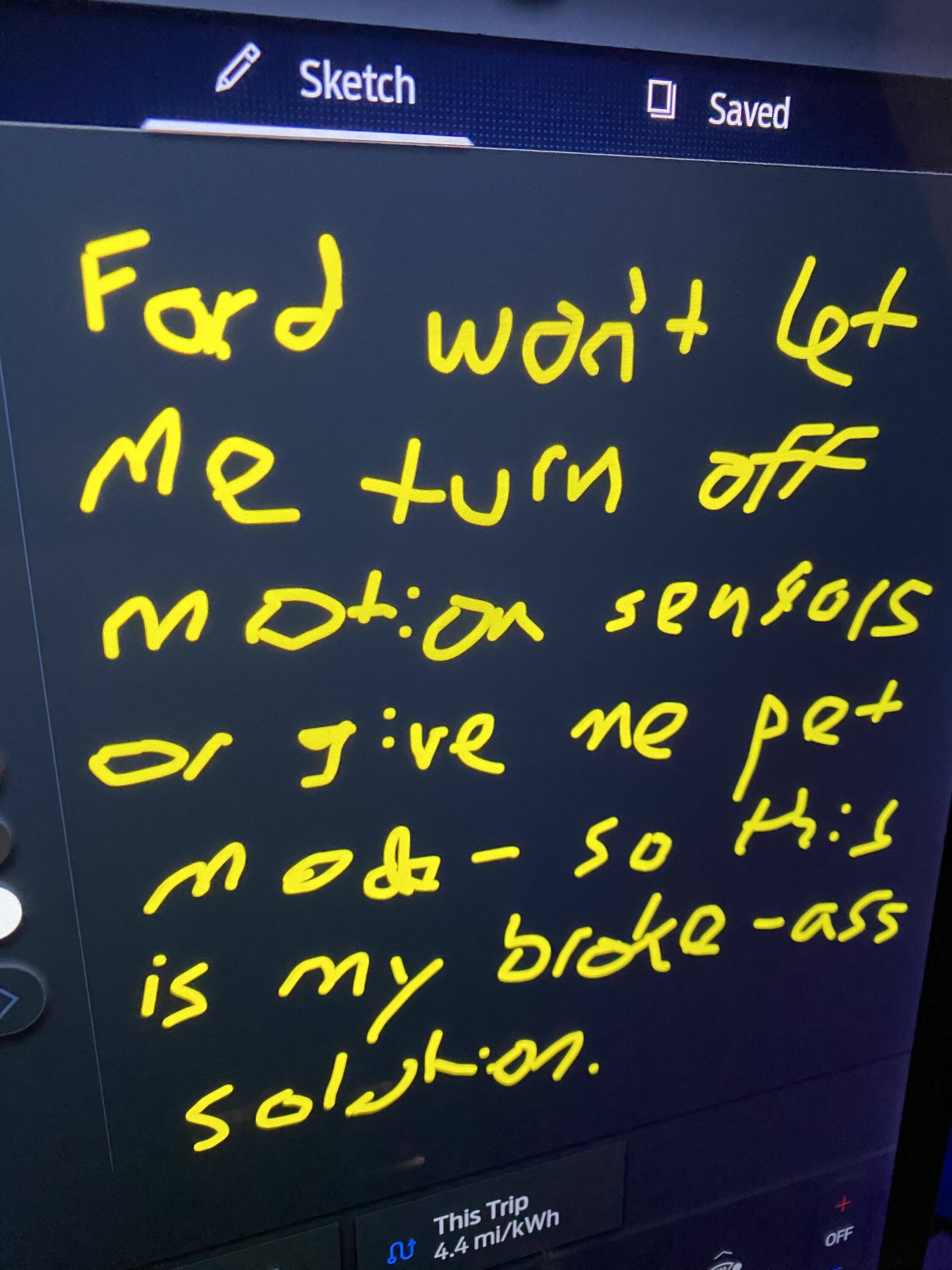 Ford Mustang Mach-E How I make a makeshift DIY Dog Mode E8237835-96EC-4812-8CE7-E8B689EF8B8A
