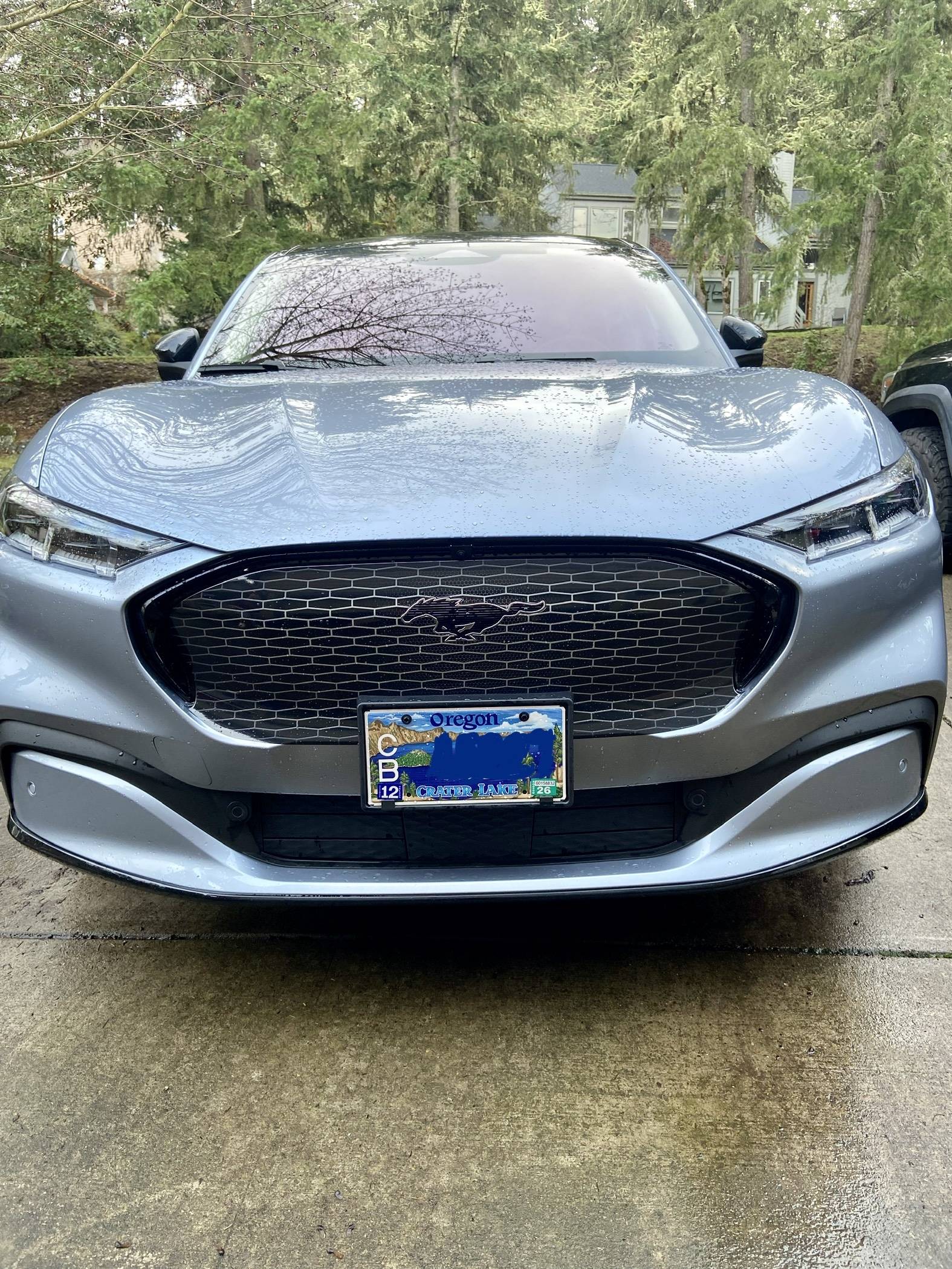 Ford Mustang Mach-E Grille Vinyl Wrapped - Before & After 5E07FBCB-4E7B-4721-85A4-A6EB9DB8972E