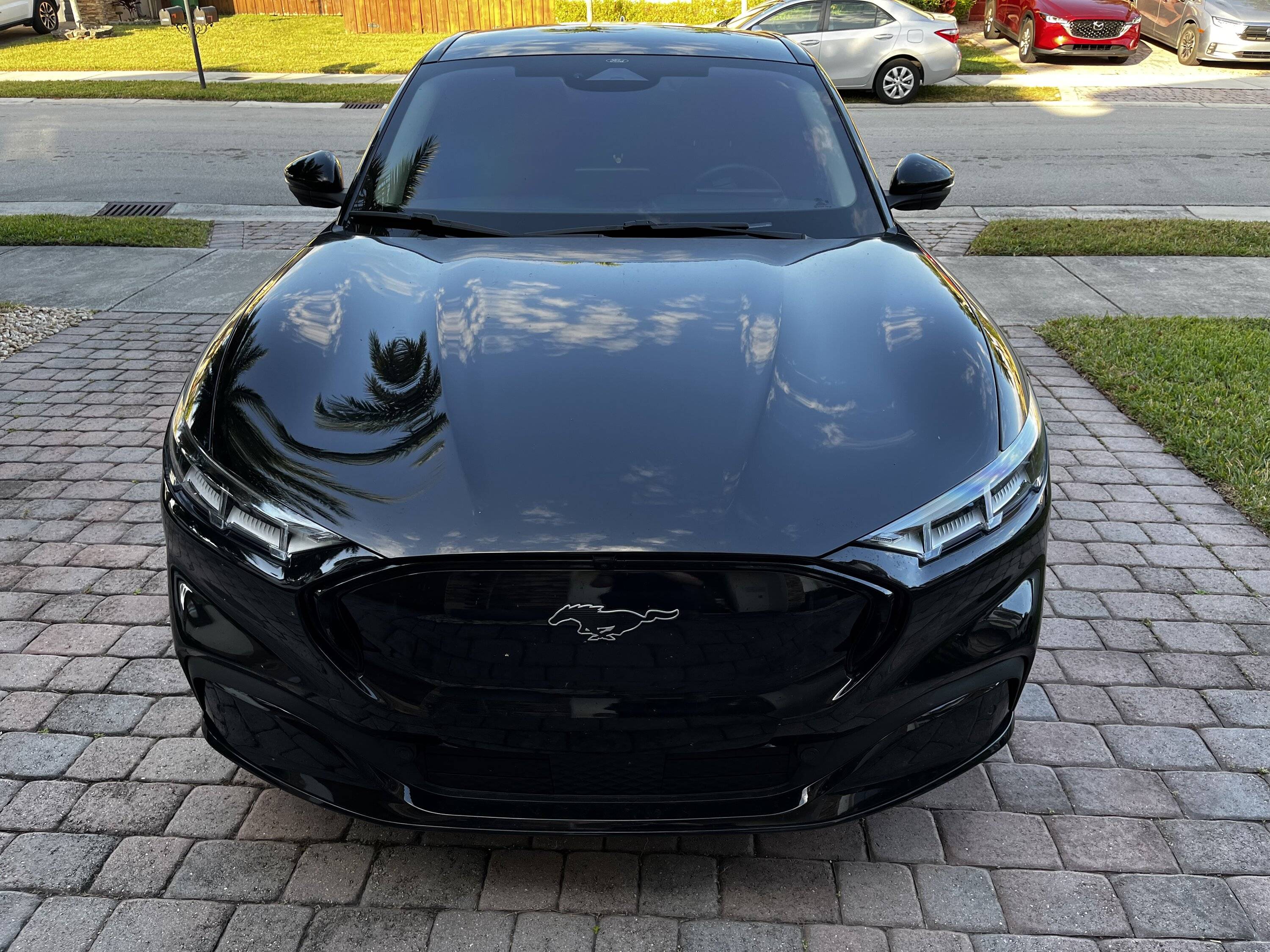 Ford Mustang Mach-E Ceramic coating worth every penny 86ED6EC8-7A63-4BDF-A7F5-A6EEF1ADA352