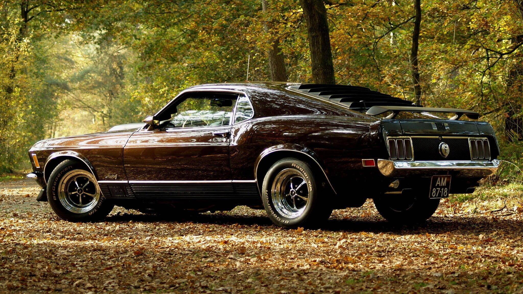 Ford Mustang Mach-E I need to take a moment to apologize ... 1676426805487