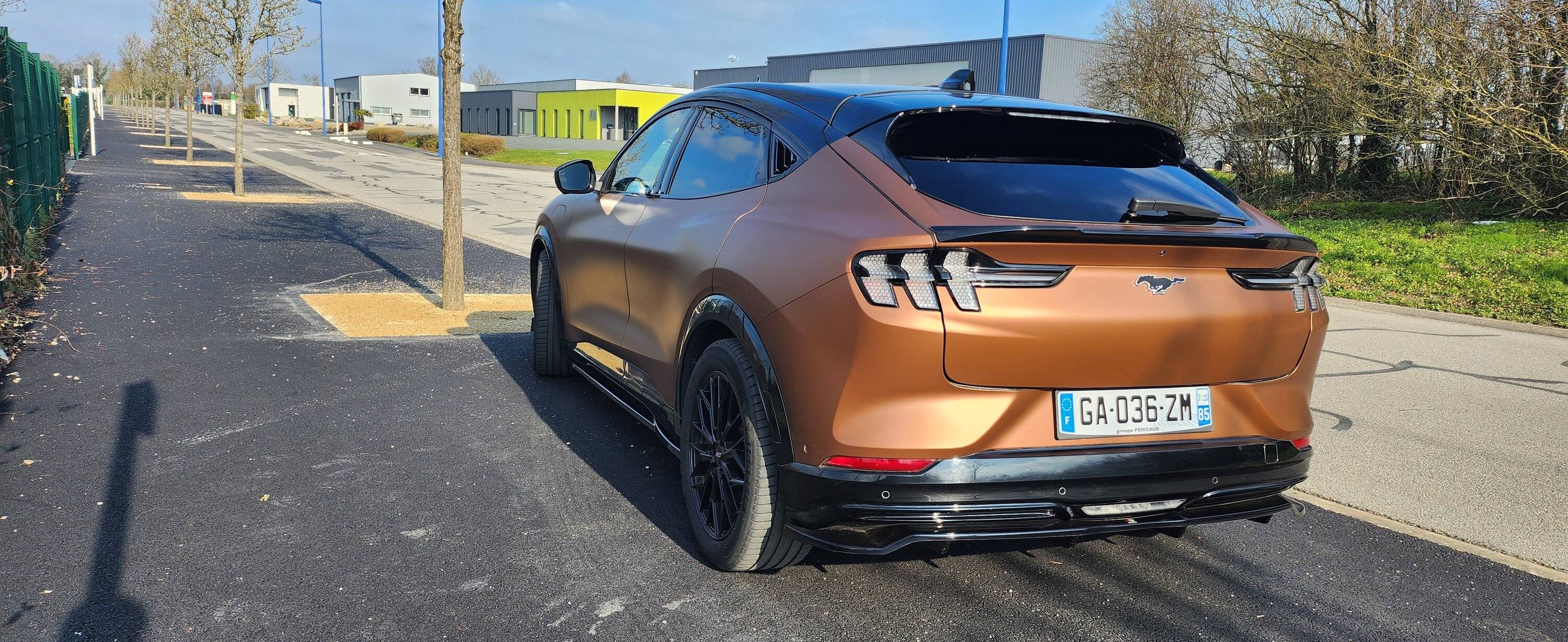 Ford Mustang Mach-E Covering Mach-e 20230129_132611