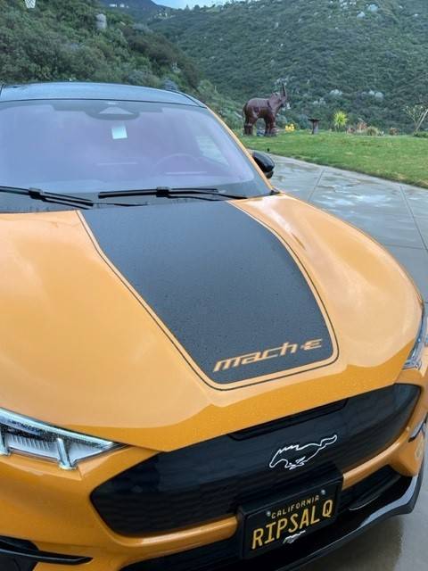 Ford Mustang Mach-E New Stripes, Leather Key Case, and five button key with frunk opener front