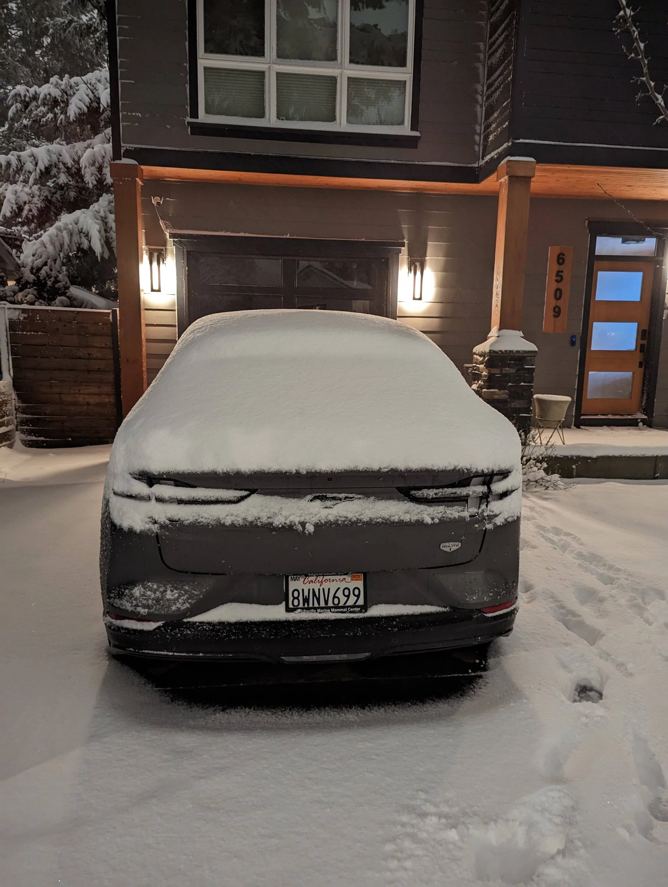 Ford Mustang Mach-E Mach-E vs Snowmaggedon Feb 2023 2023-02-22 20.11.07