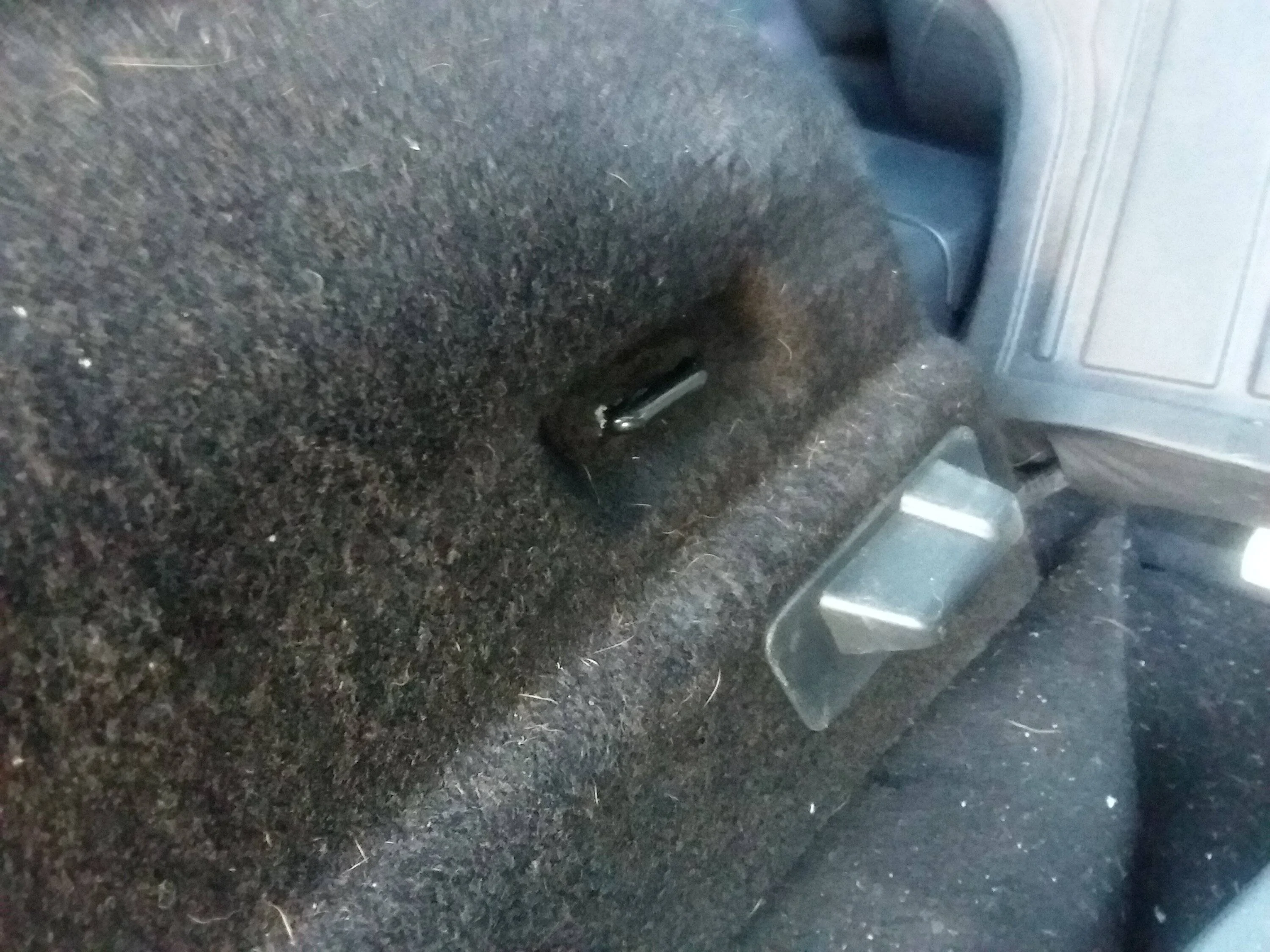 Ford Mustang Mach-E SOLVED - How to Add the Two Front Cargo Ring Anchor Points in the Trunk. 20230304_170001