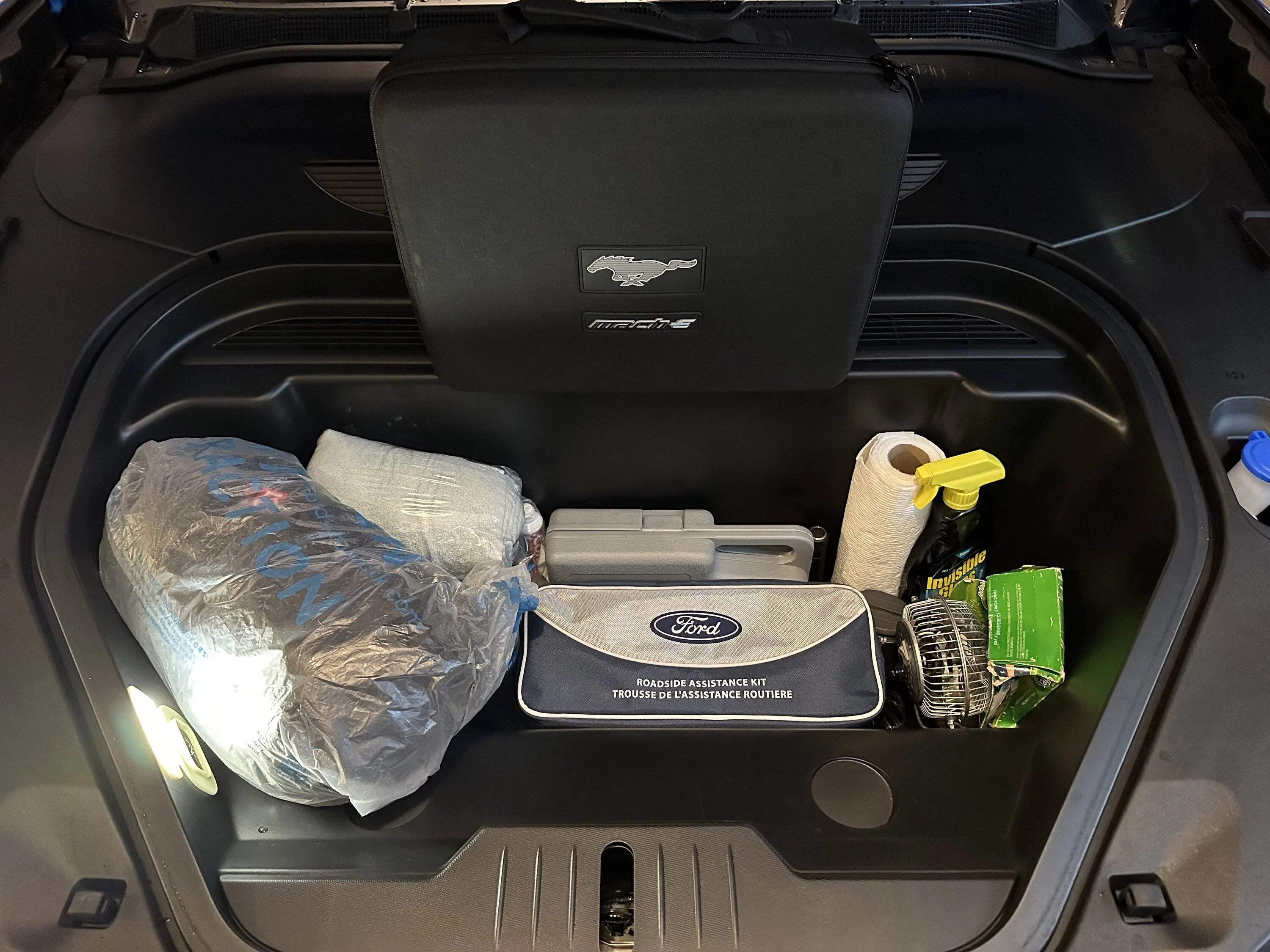 Ford Mustang Mach-E What the Frunk? Share how you use your frunk 1678371363096