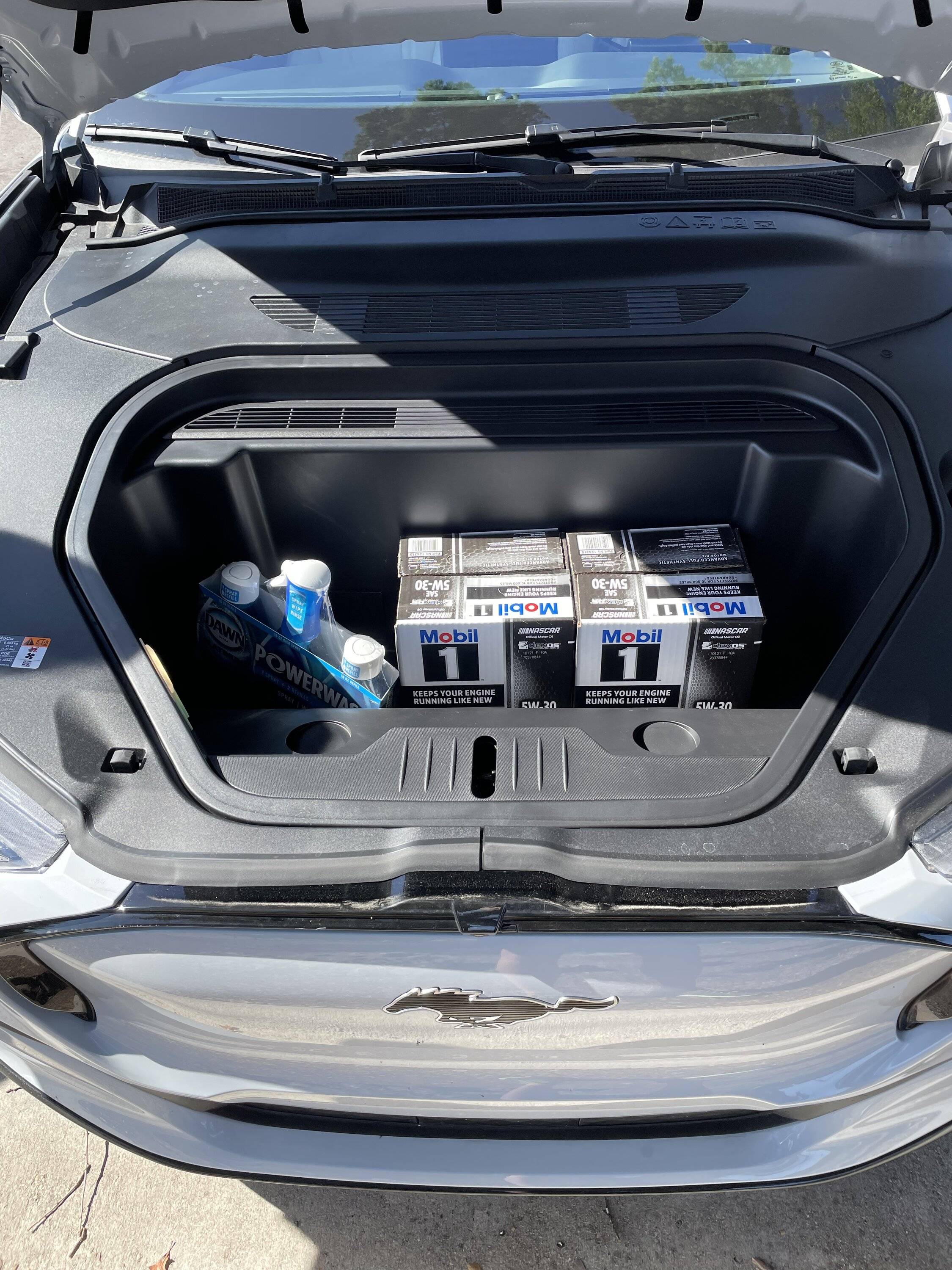 Ford Mustang Mach-E What the Frunk? Share how you use your frunk C18B1B44-C39E-456D-9CE5-7D042C0D2059