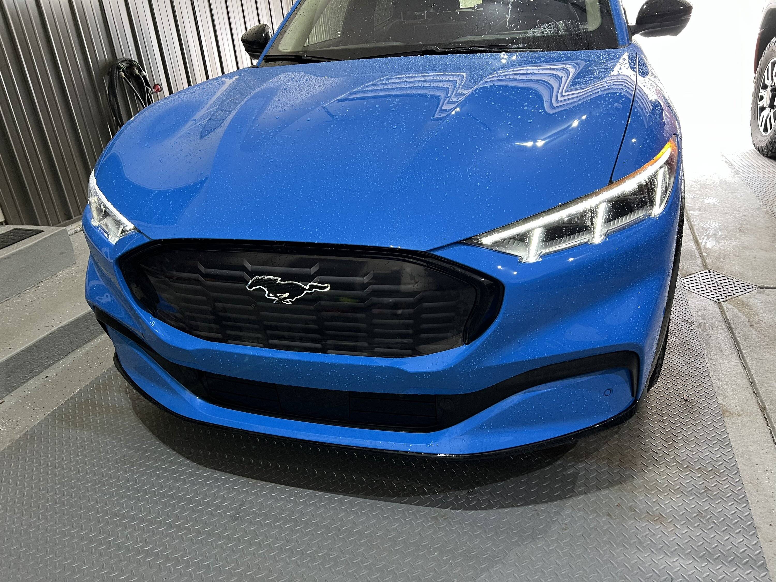 Ford Mustang Mach-E Lighted Pony installed in grille 11C5326B-3A8C-4F0B-9A73-EA9F56AB6BD2