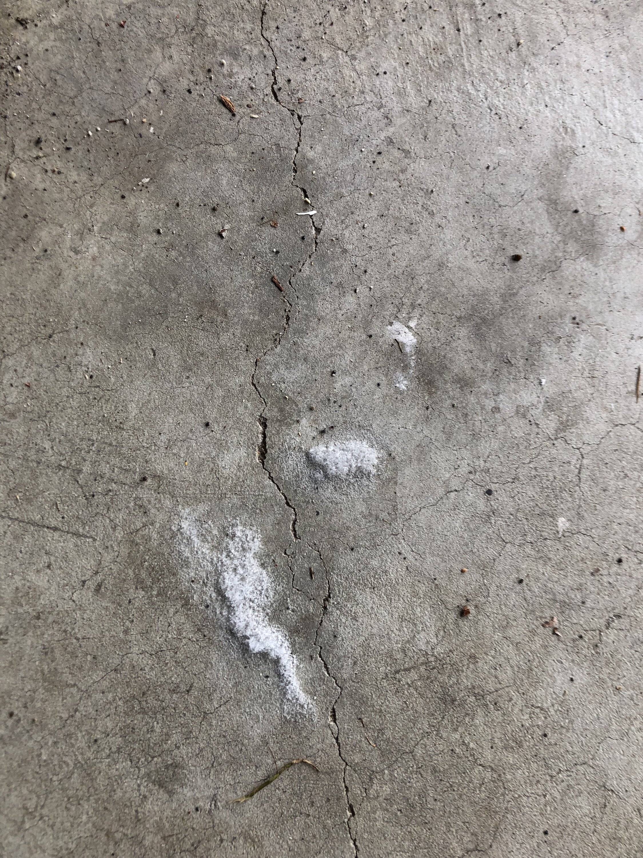 Ford Mustang Mach-E Foamy residue on garage floor IMG_8260.JPG
