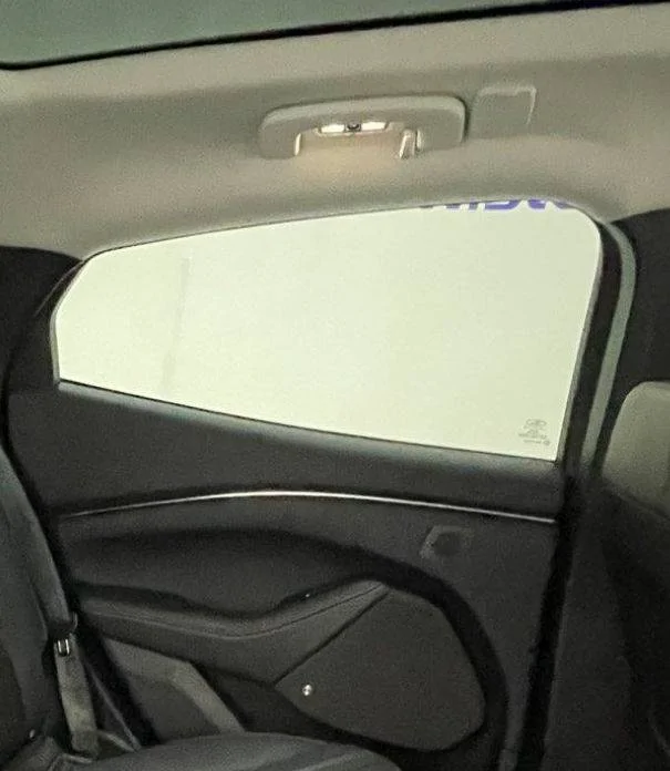 Ford Mustang Mach-E What is the black plastic square next to the rear grab handle? 1679240755388