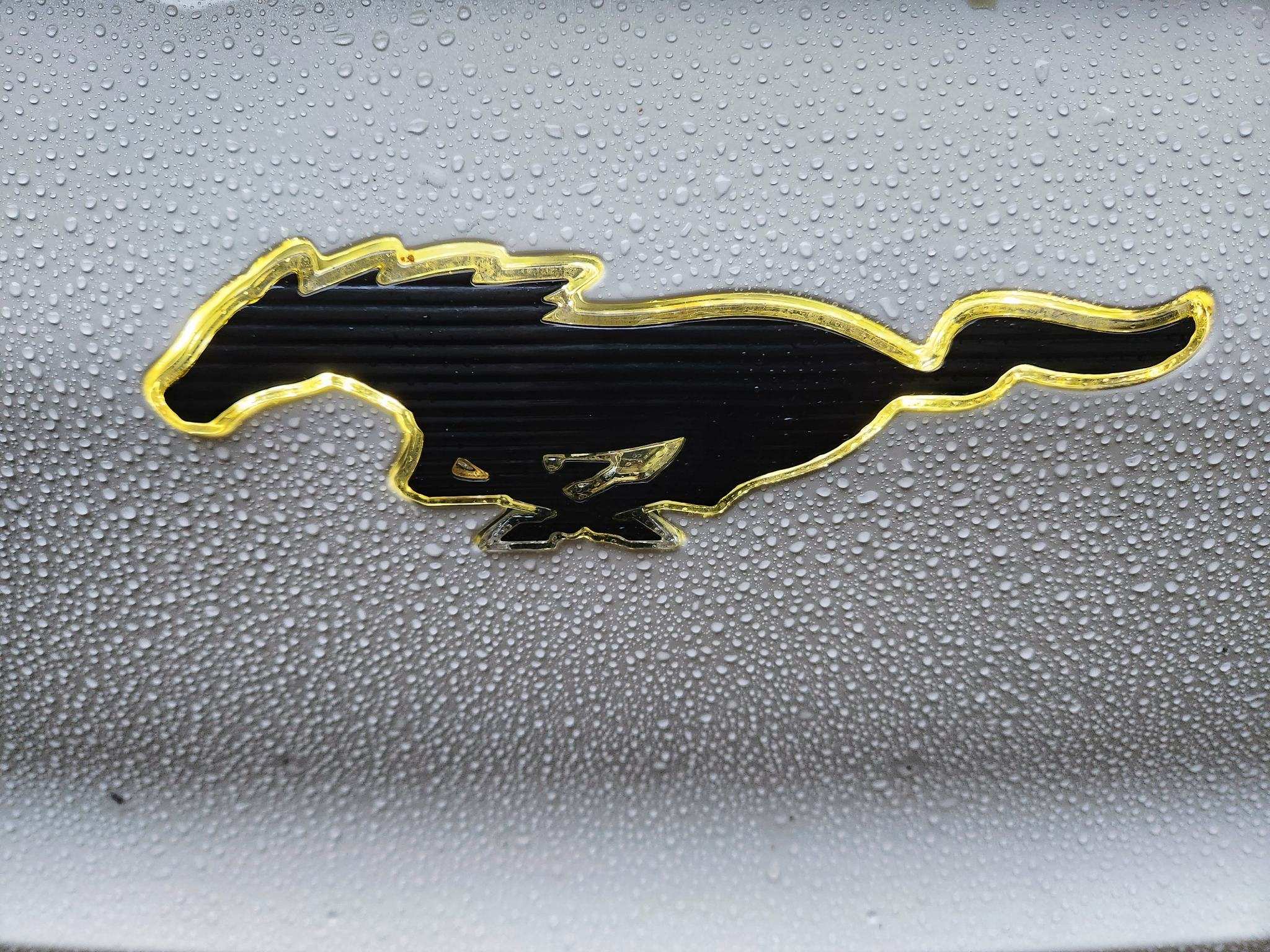Ford Mustang Mach-E What Do You Hate About Your Mach-E? image000000