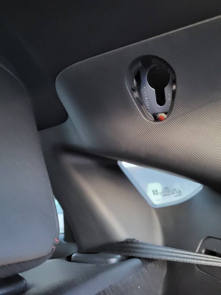Ford Mustang Mach-E What is the black plastic square next to the rear grab handle? 20230321_175438 (Medel)