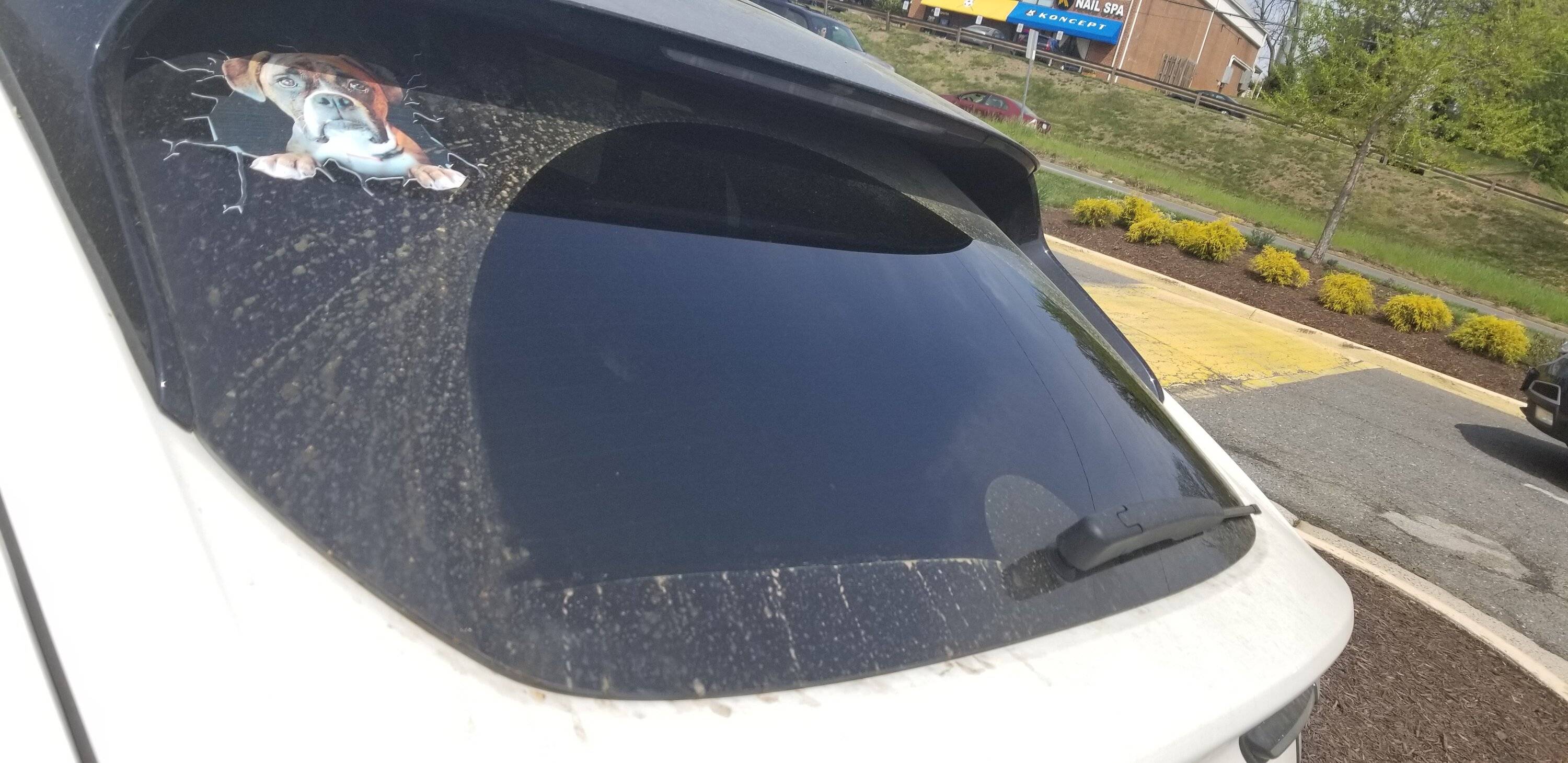 Ford Mustang Mach-E Rear wiper blade - longer replacement? 20230406_124332