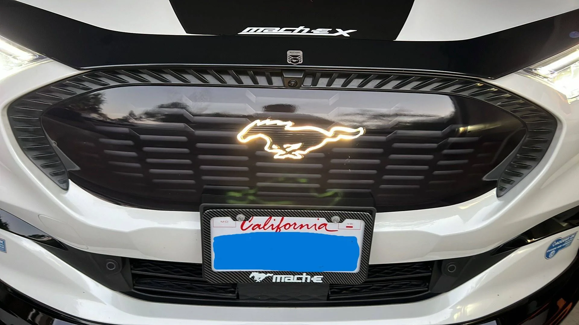 Ford Mustang Mach-E Illuminated Pony WhatsApp Image 2023-02-02 at 12.37.15