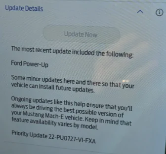 Ford Mustang Mach-E UK Customers 1681913299669
