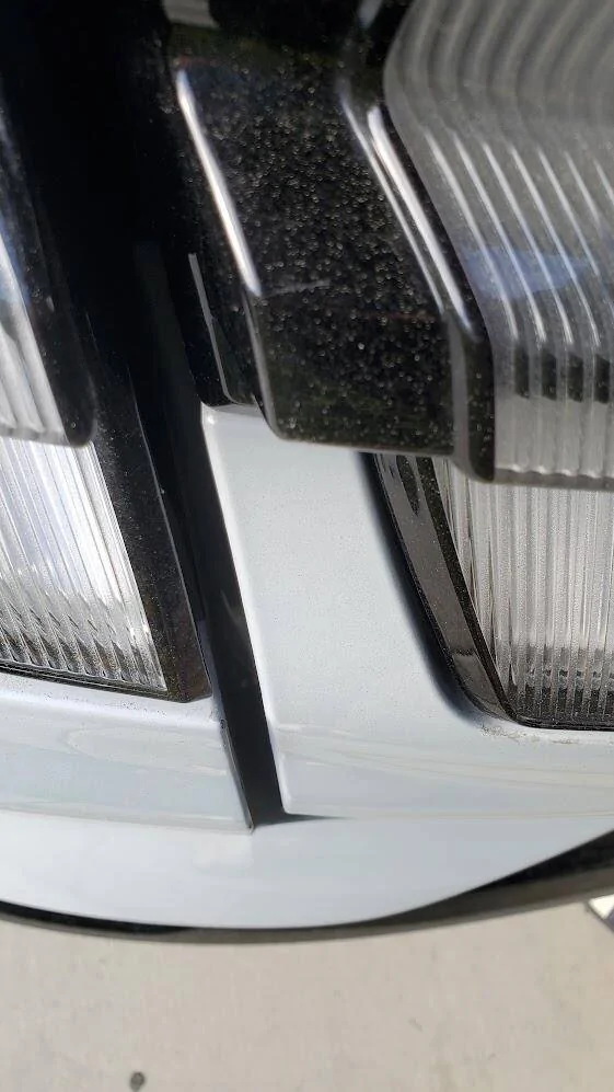 Ford Mustang Mach-E Are those defects or I'm just too picky? 1681916872333