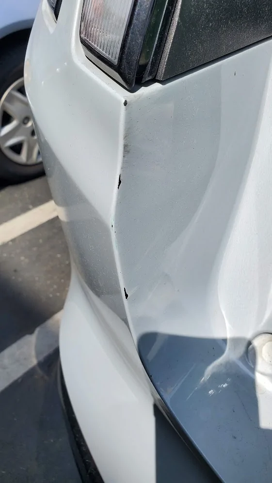 Ford Mustang Mach-E Are those defects or I'm just too picky? 1681923791533