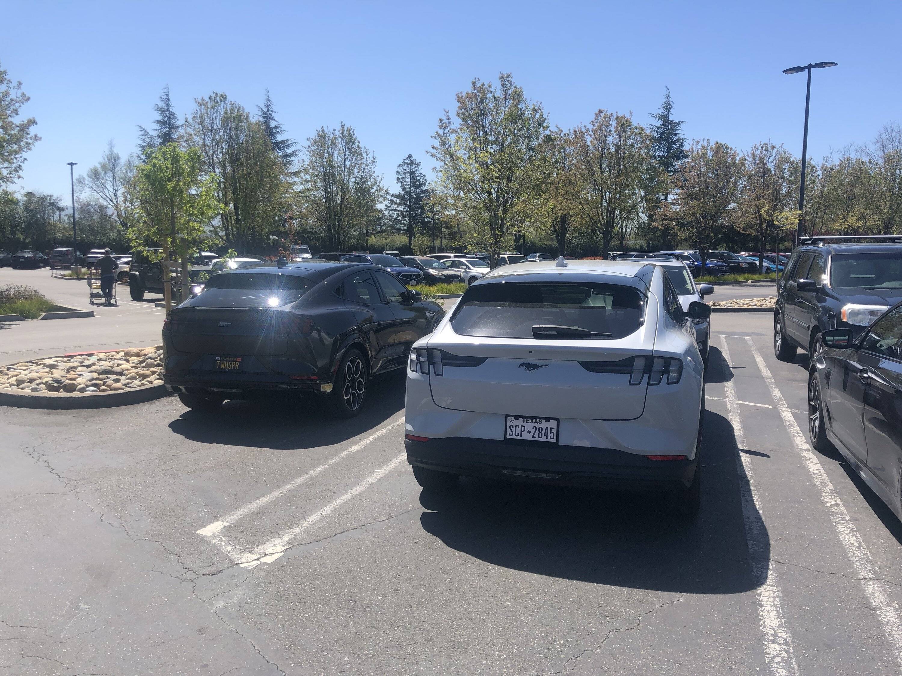 Ford Mustang Mach-E Spotted a Mach-E in the Wild Today! C5E2582A-FAF7-4CB4-8EE0-E5536D5DF858