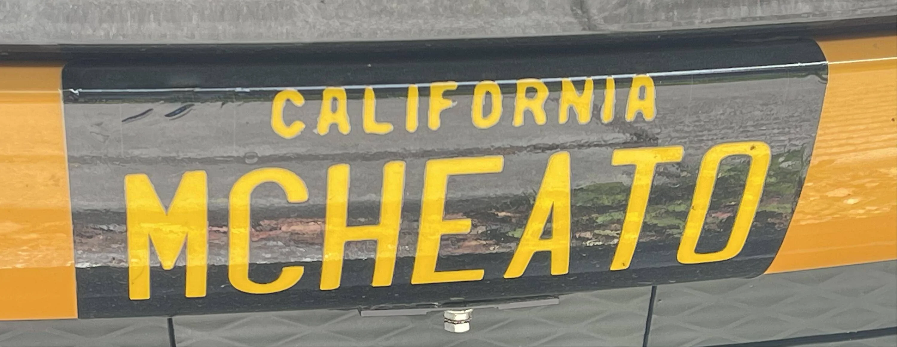 Ford Mustang Mach-E California Personalized Plates 1682452465839