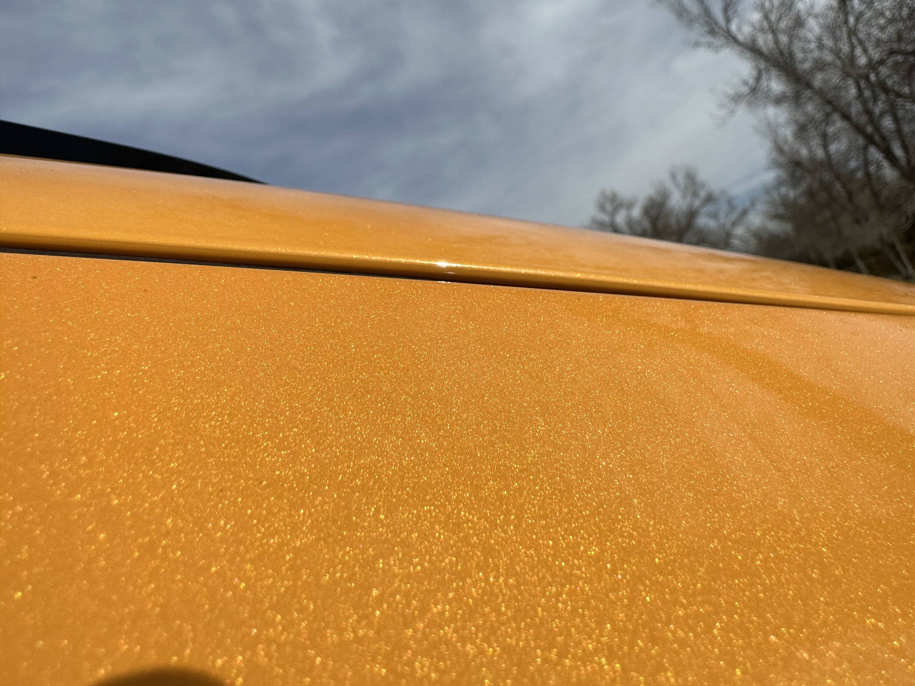 Ford Mustang Mach-E Bulging Weatherstripping Issue? IMG_1623