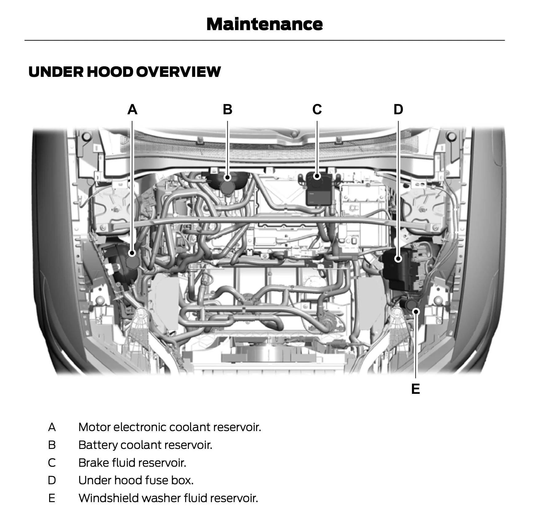 Ford Mustang Mach-E L2 38~48 amp charging flux Screenshot 2023-05-03 at 1.21.04 PM
