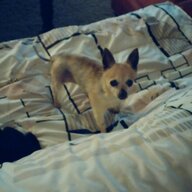 Lola2004