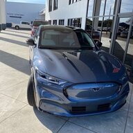 bluestang35