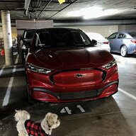Luna's Mach-e
