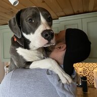 RedHookEnzo