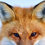 Firefox2968