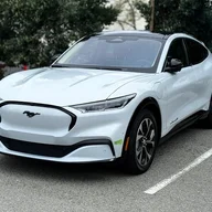 grayfox017