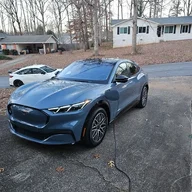 Bluestang
