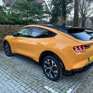 bumblebee