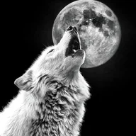 MoonDogg