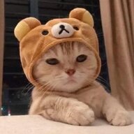 Marmalade