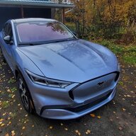 Alaskan_silent_pony