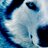 WolffOMatic