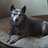 MillerPaints