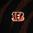 BengalsFan