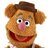 fozzydabear